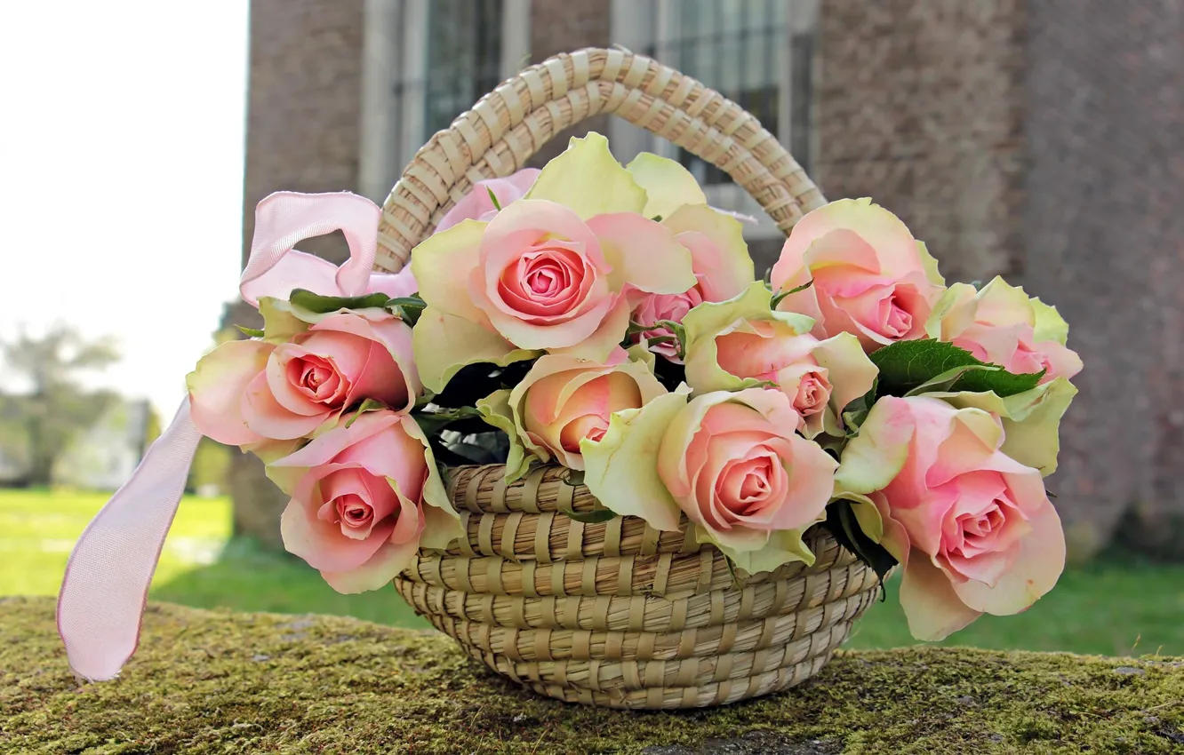 Photo wallpaper flowers, roses, basket