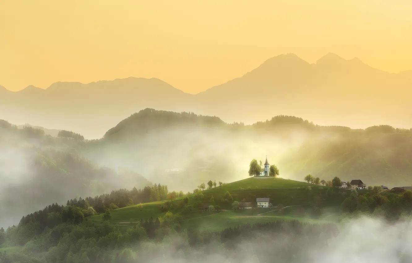 Photo wallpaper forest, trees, mountains, fog, hills, home, Spring, morning