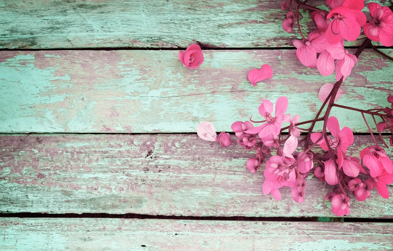 Photo wallpaper flowers, spring, pink, vintage, wood, pink, flowers, spring