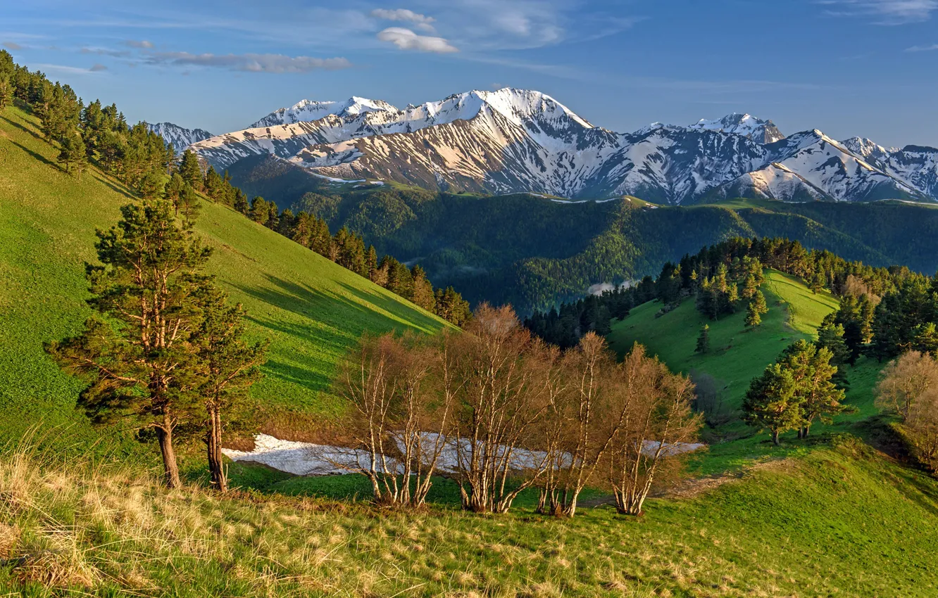Photo wallpaper forest, the sun, mountains, hills, Anna Andreeva