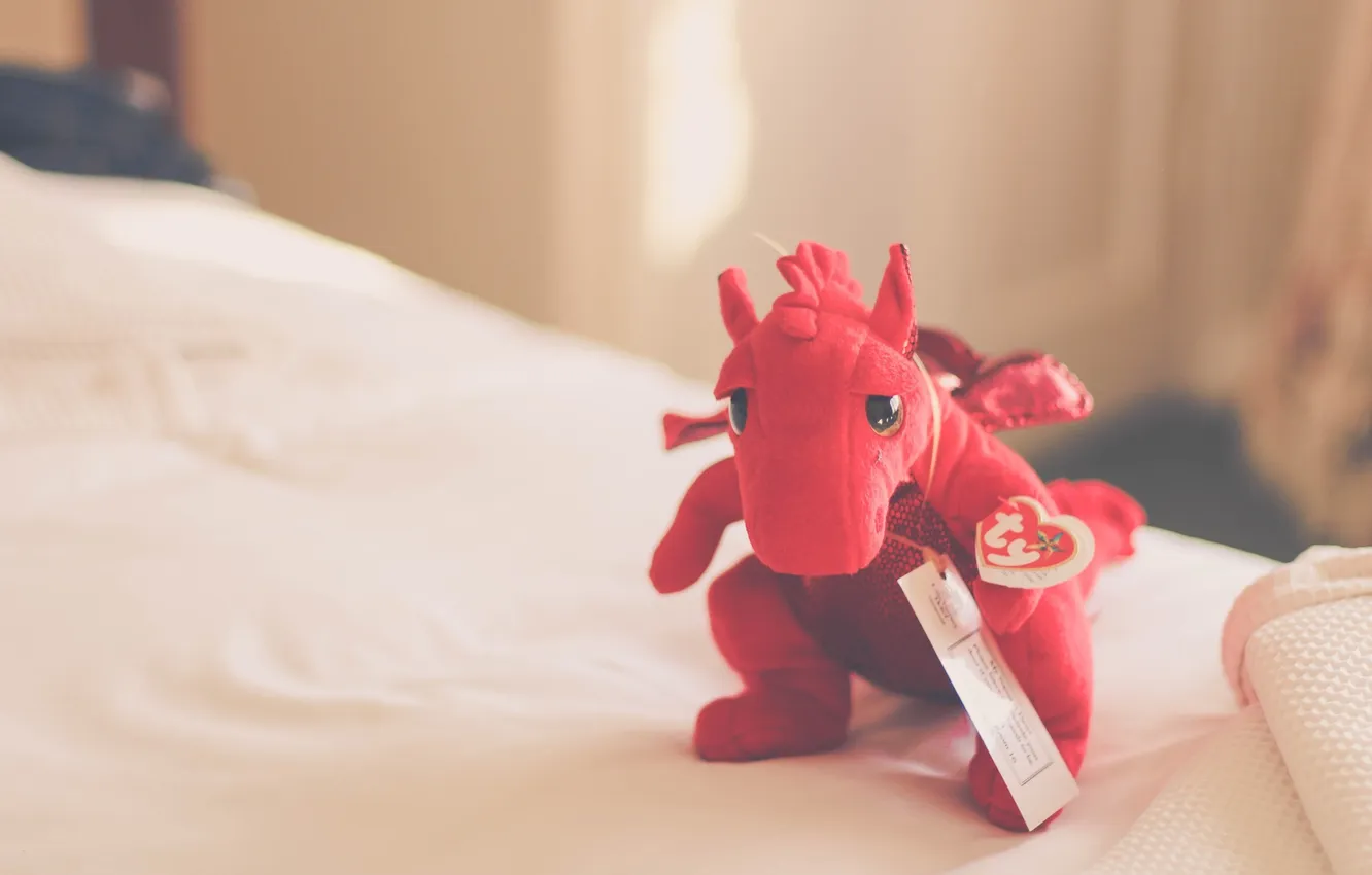Photo wallpaper red, dragon, toy, bed