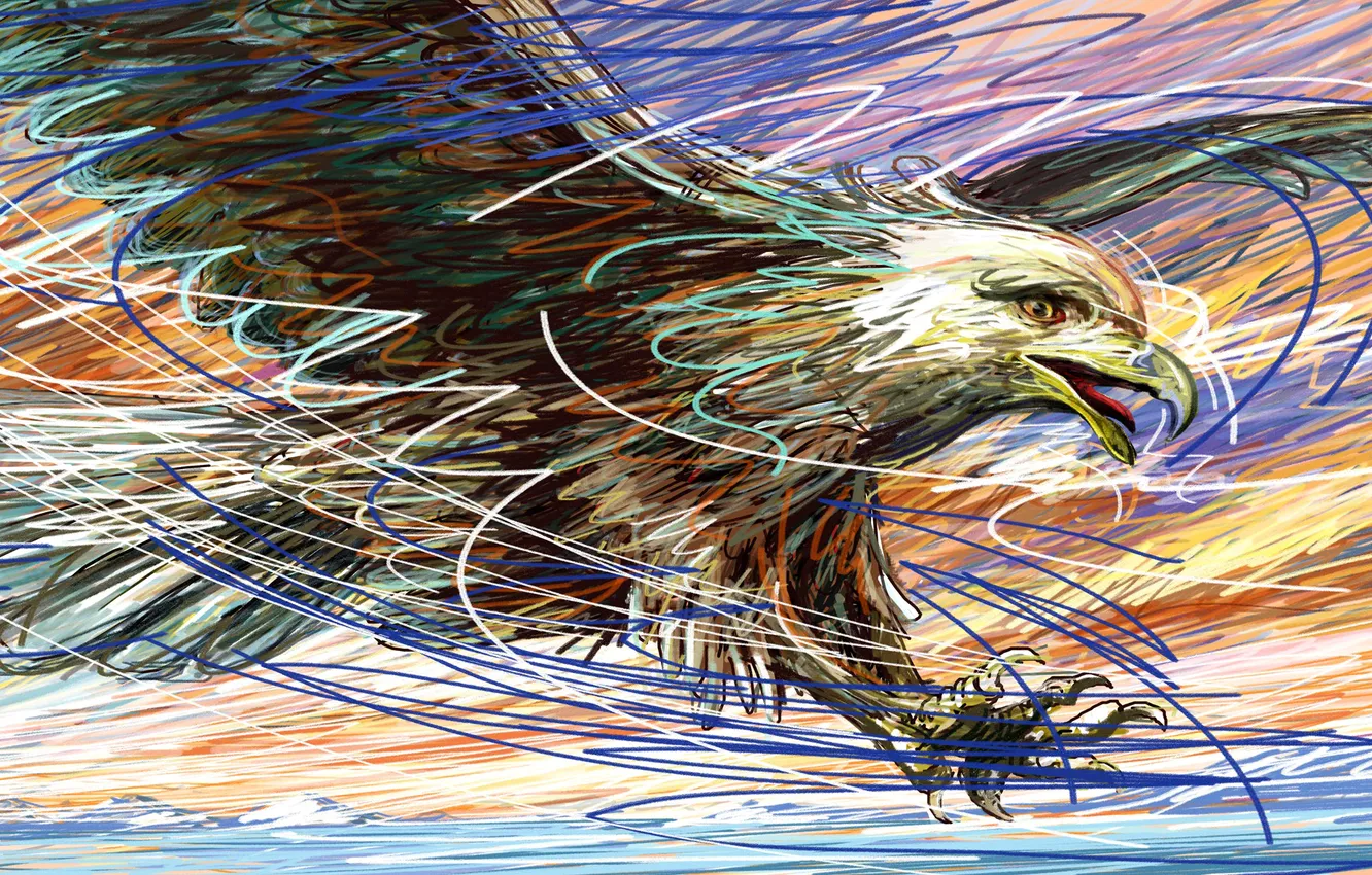 Photo wallpaper flight, bird, eagle, color, wings, vector, touch