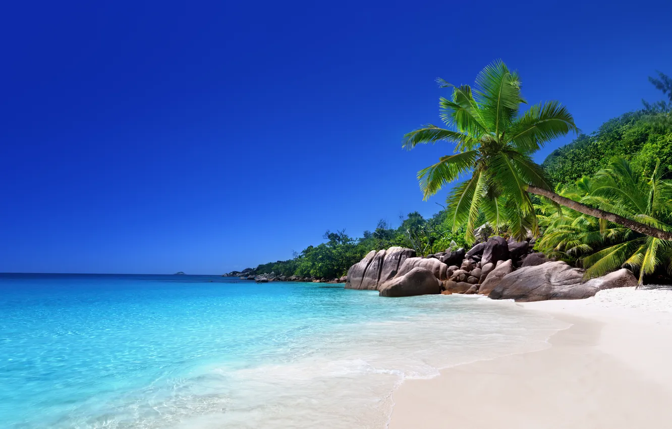 Photo wallpaper sand, sea, beach, tropics, palm trees, shore, summer, sunshine