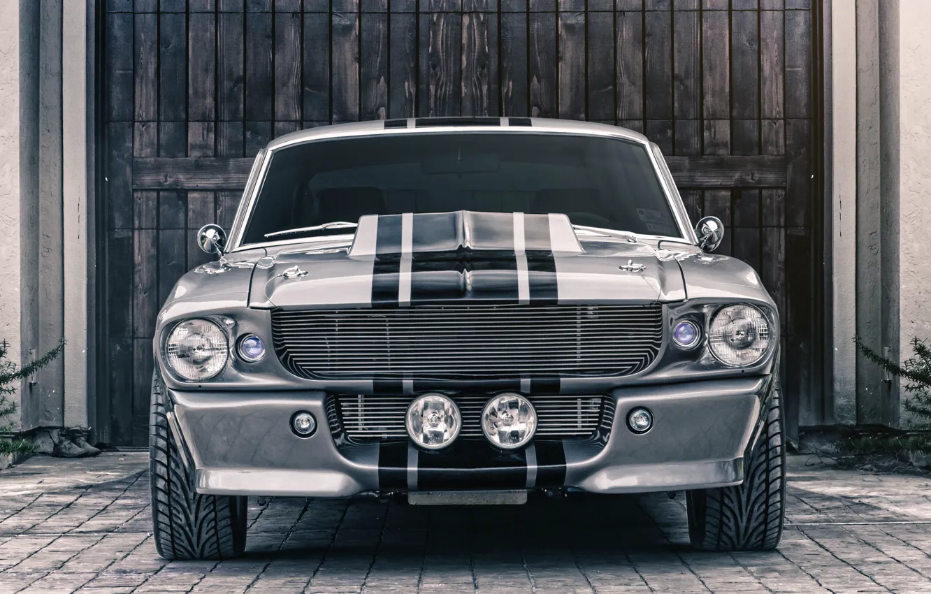 Photo wallpaper Mustang, Ford, Shelby, GT500, Eleanor, Muscle car, Silver