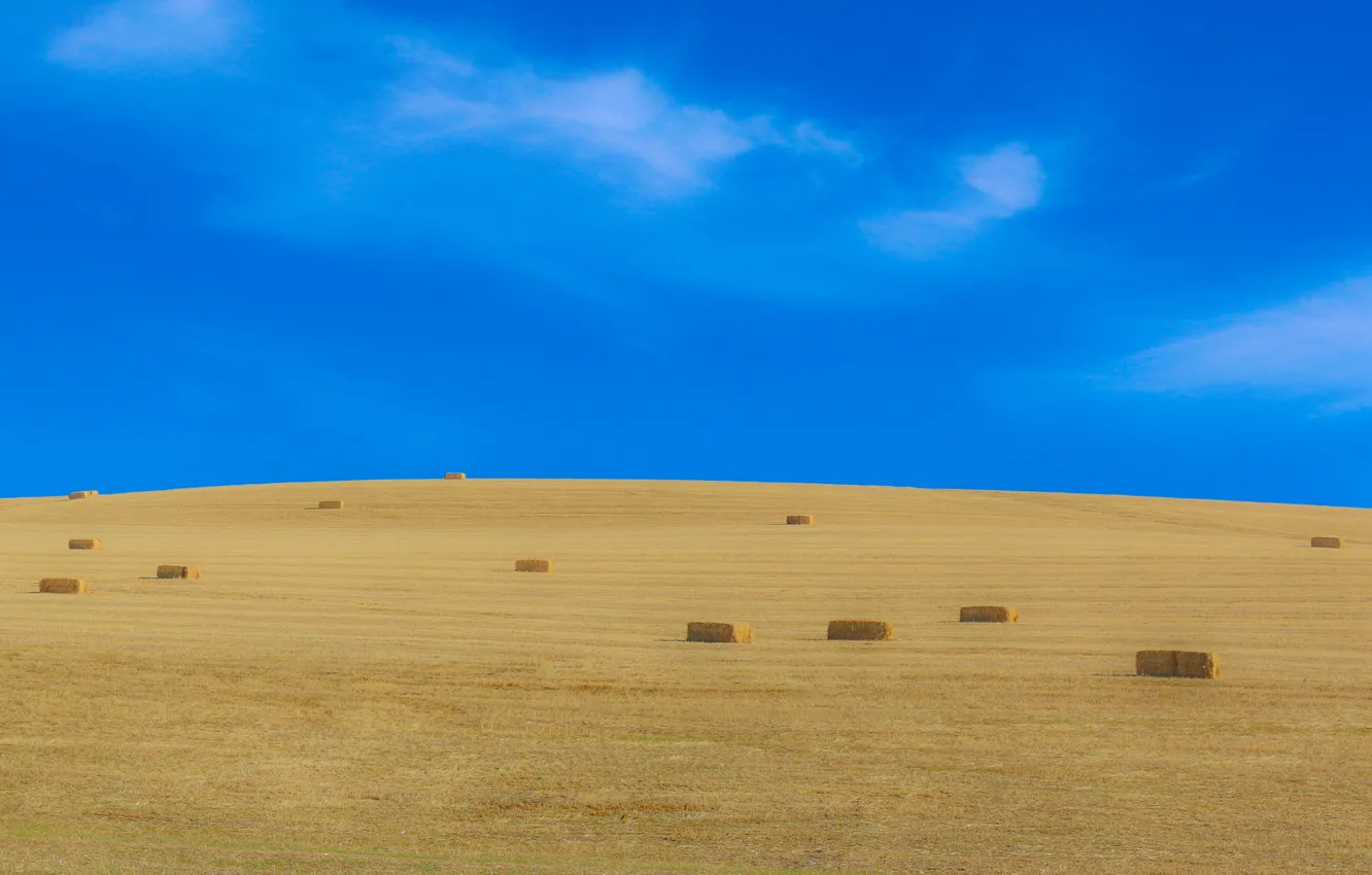 Photo wallpaper sky, hay, harvest, farmland