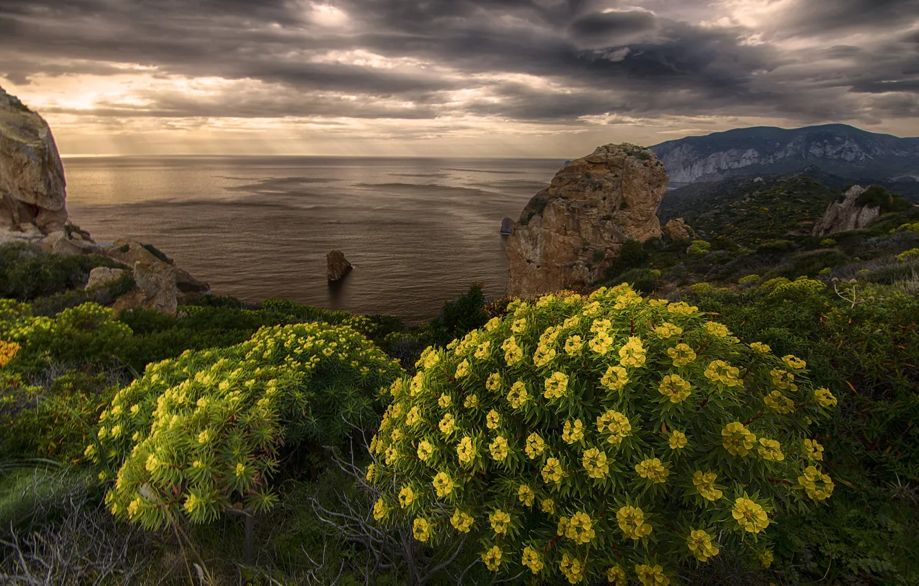 Photo wallpaper sea, landscape, mountains, clouds, nature, rocks, coast, vegetation