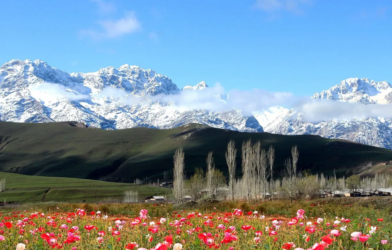 Photo wallpaper Mountains, Kyrgyzstan, Khaydarkan
