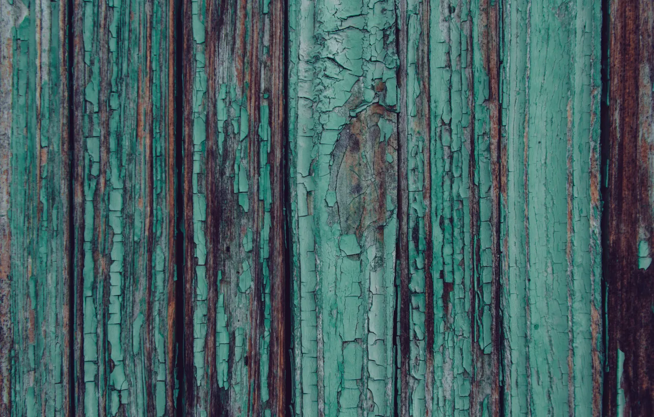 Photo wallpaper trees, old, cracked, paint, Board, texture, wood, turquoise