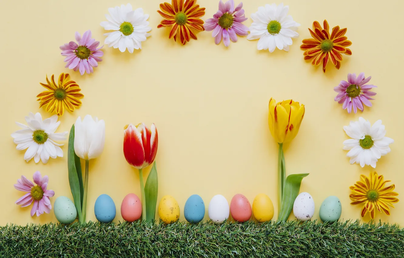 Photo wallpaper grass, flowers, spring, colorful, Easter, tulips, chrysanthemum, flowers