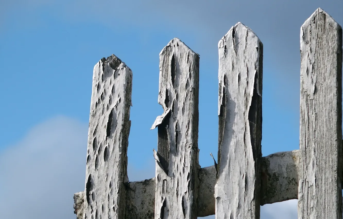 Photo wallpaper the sky, background, the fence