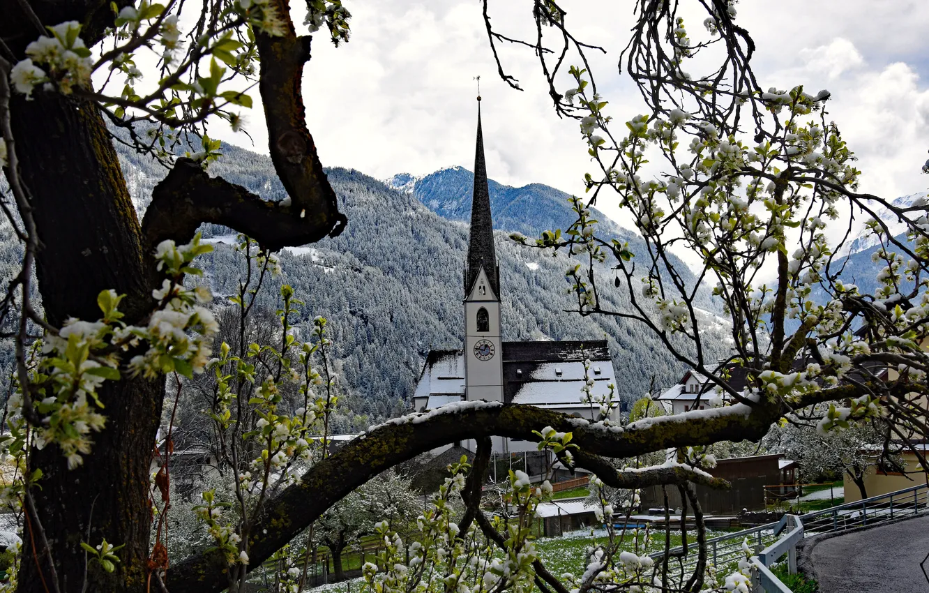 Photo wallpaper road, forest, clouds, trees, flowers, mountains, branches, tower