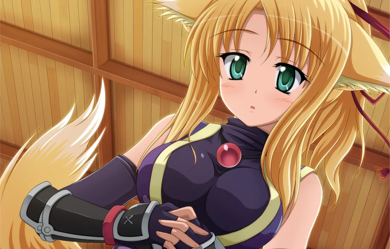 Photo wallpaper girl, ears, anime, art, ponytail, Dog Days, Yukikaze Panettone