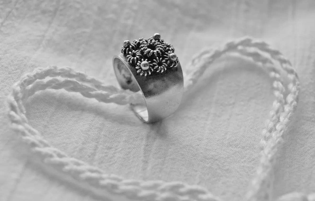 Photo wallpaper rope, ring, black and white
