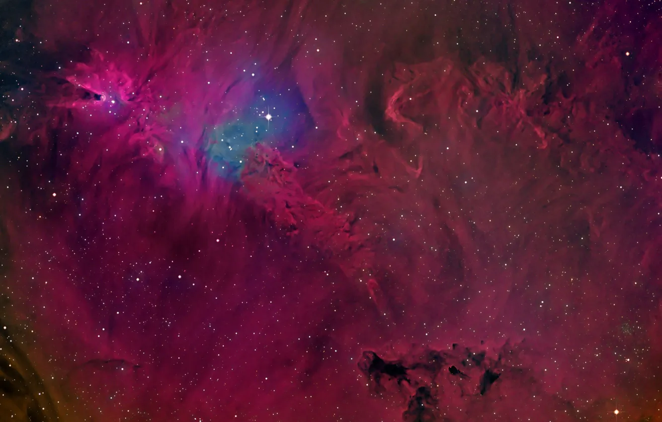 Photo wallpaper space, stars, Cone Nebula