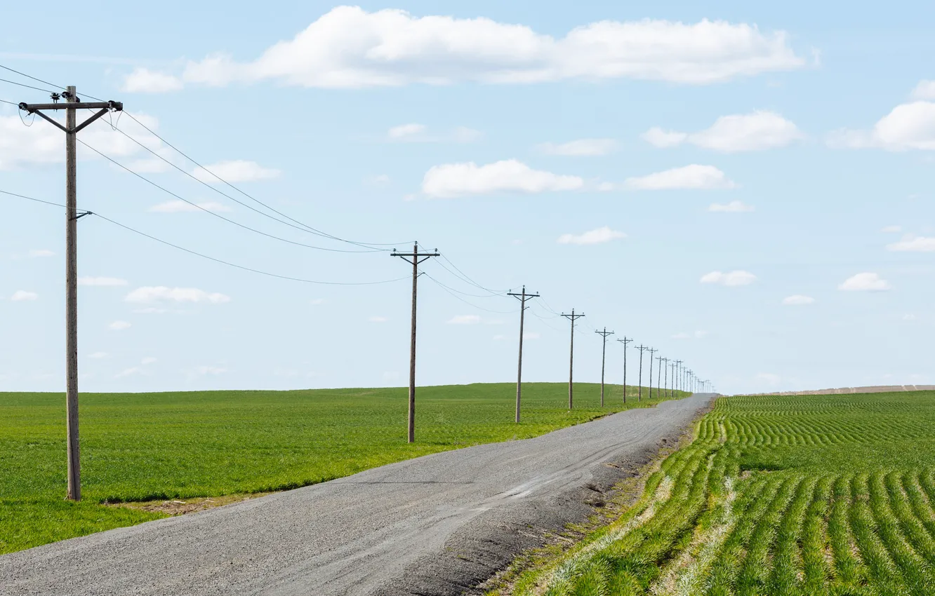 Photo wallpaper road, field, power lines