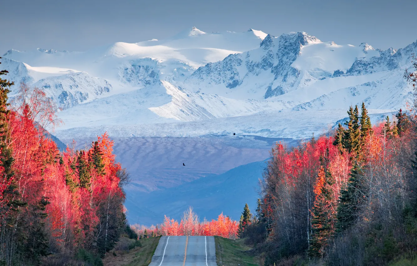 Photo wallpaper road, autumn, forest, the sky, snow, trees, flight, mountains