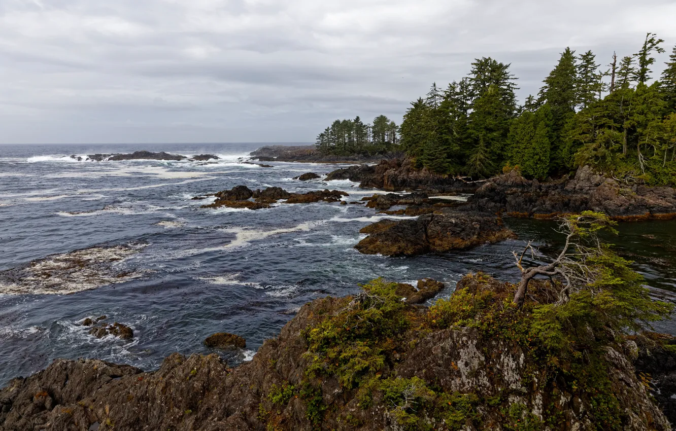 Photo wallpaper the ocean, rocks, coast, Canada, British Columbia, Ucluelet