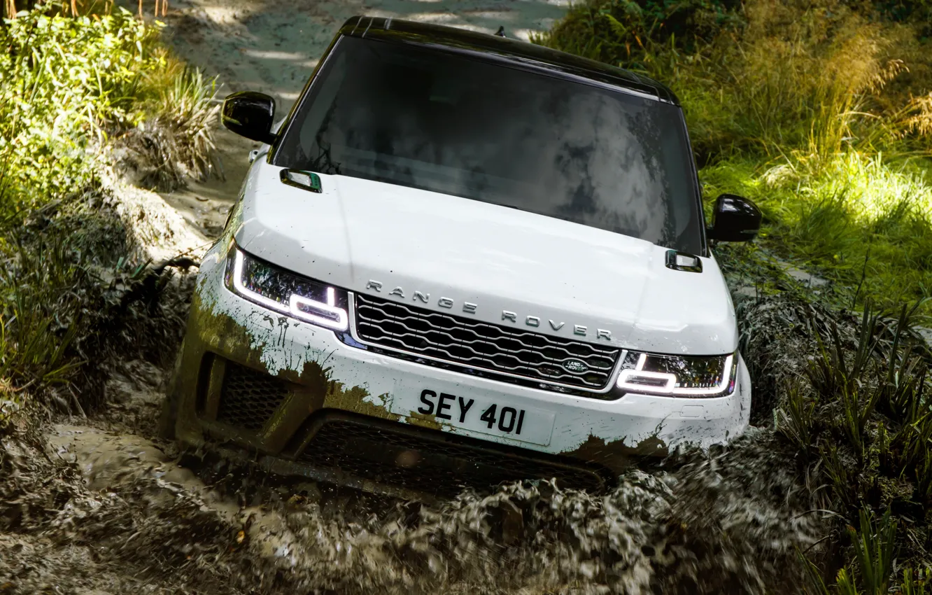Photo wallpaper forest, vegetation, puddle, dirt, SUV, Land Rover, black and white, Range Rover Sport P400e Plug-in …