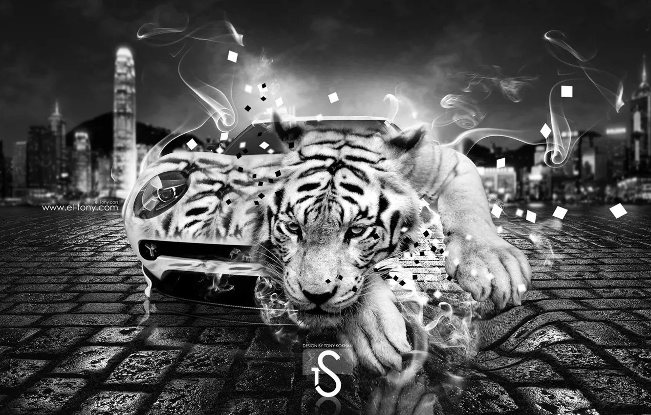 Photo wallpaper auto, night, tiger