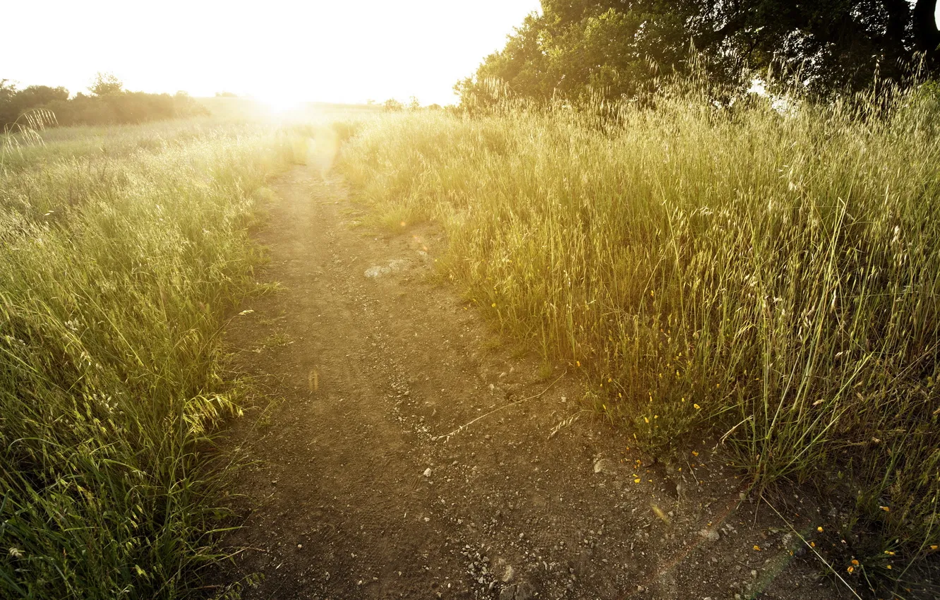 Photo wallpaper road, field, summer, light, nature
