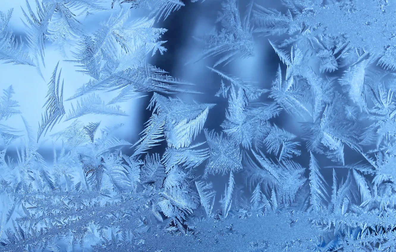 Photo wallpaper winter, frost, window, frozen, Frosty, window