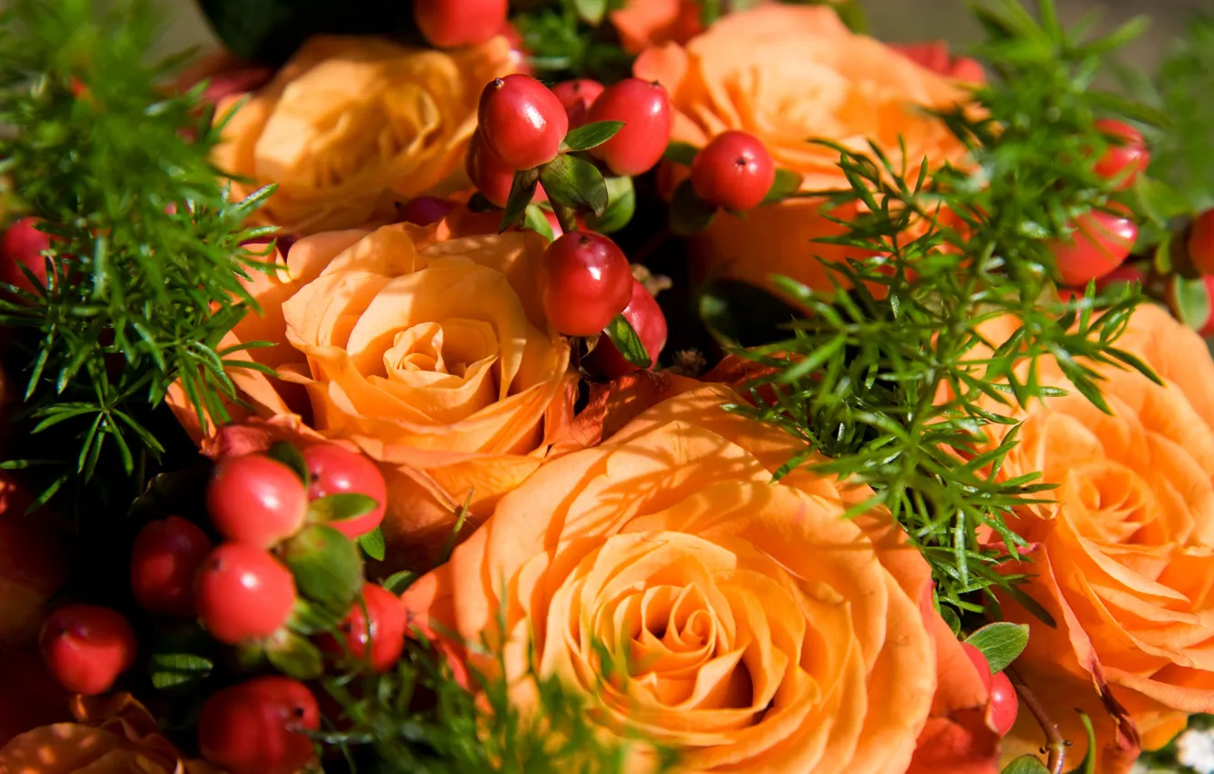 Photo wallpaper orange, berries, Roses, buds