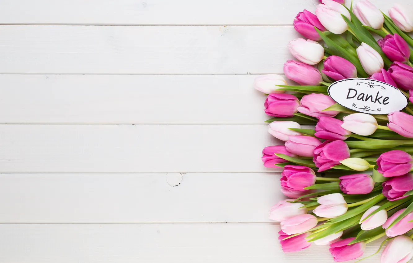 Photo wallpaper white, flowers, background, tulips, Wasted
