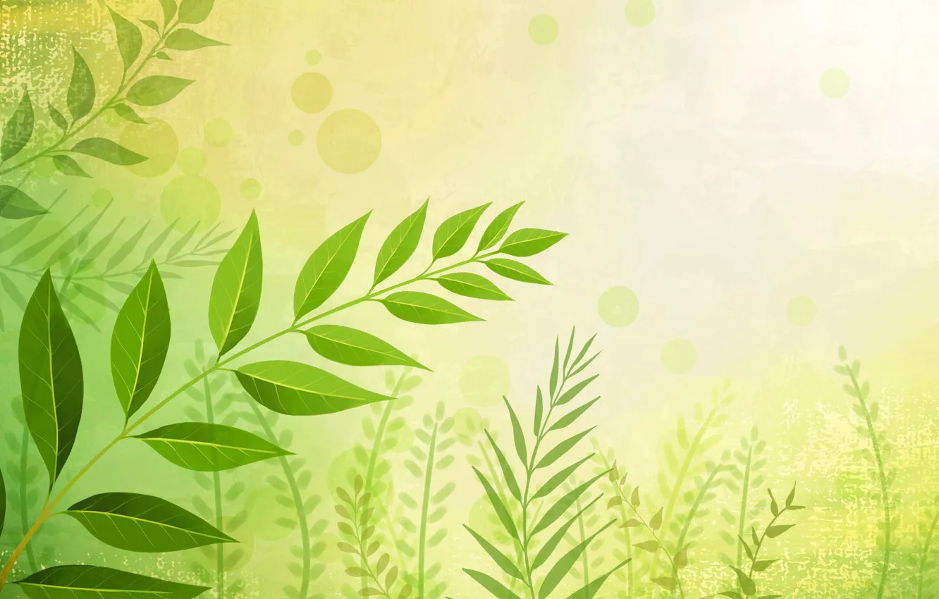 Photo wallpaper leaves, branches, nature, vector