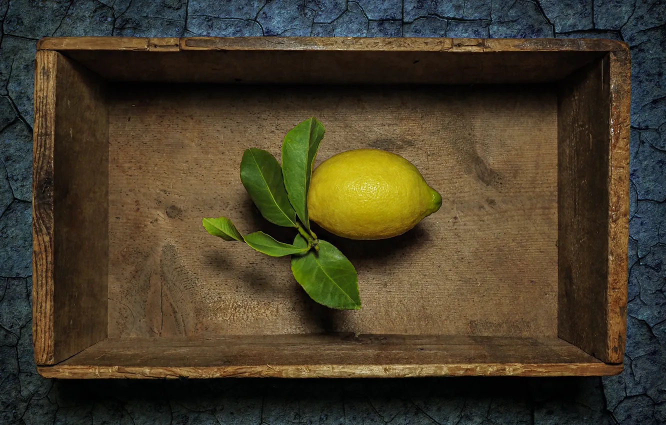 Photo wallpaper leaves, cracked, background, lemon, wooden, still life, box