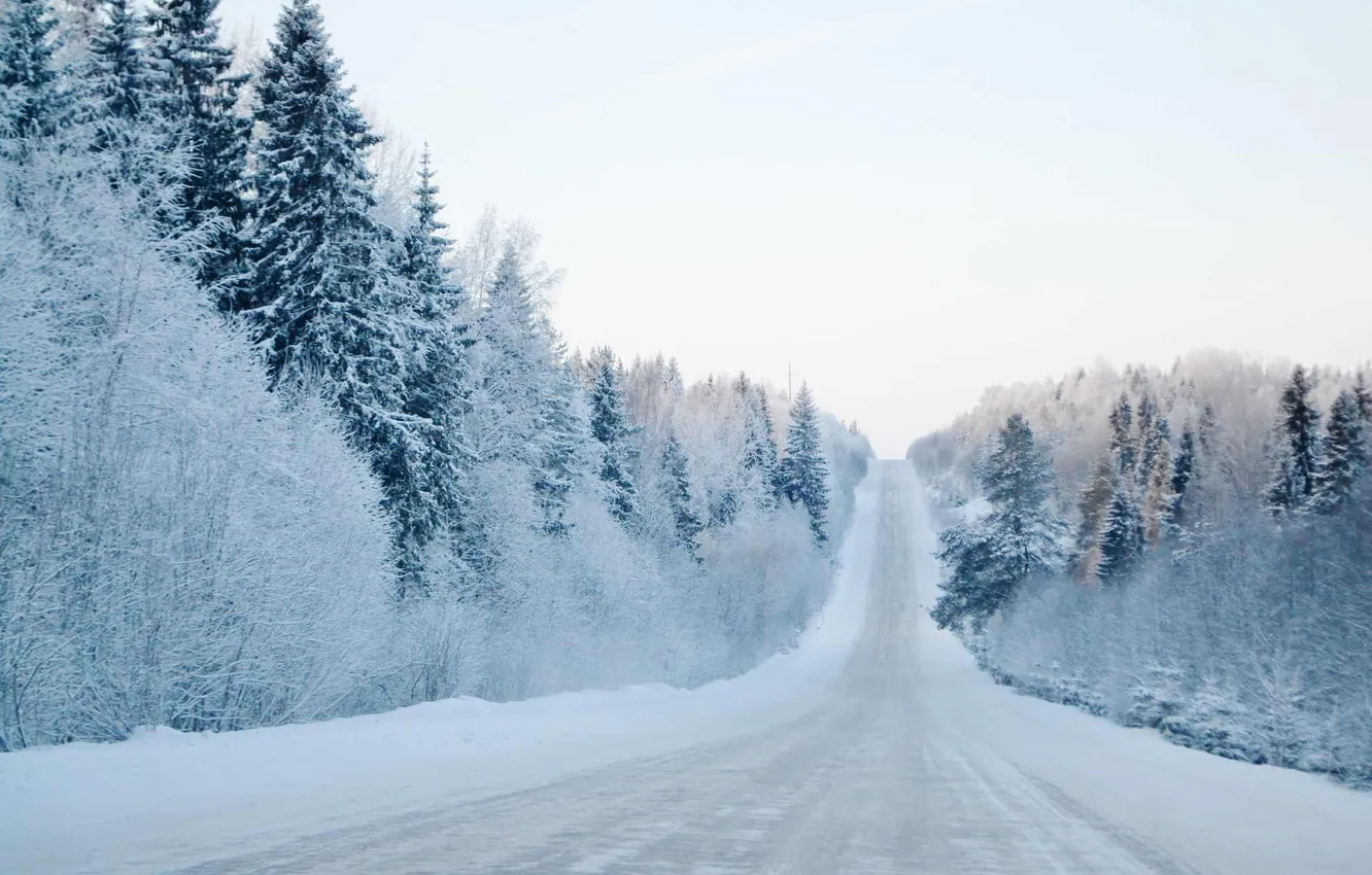 Photo wallpaper winter, road, forest, the sky, clouds, snow, trees, landscape