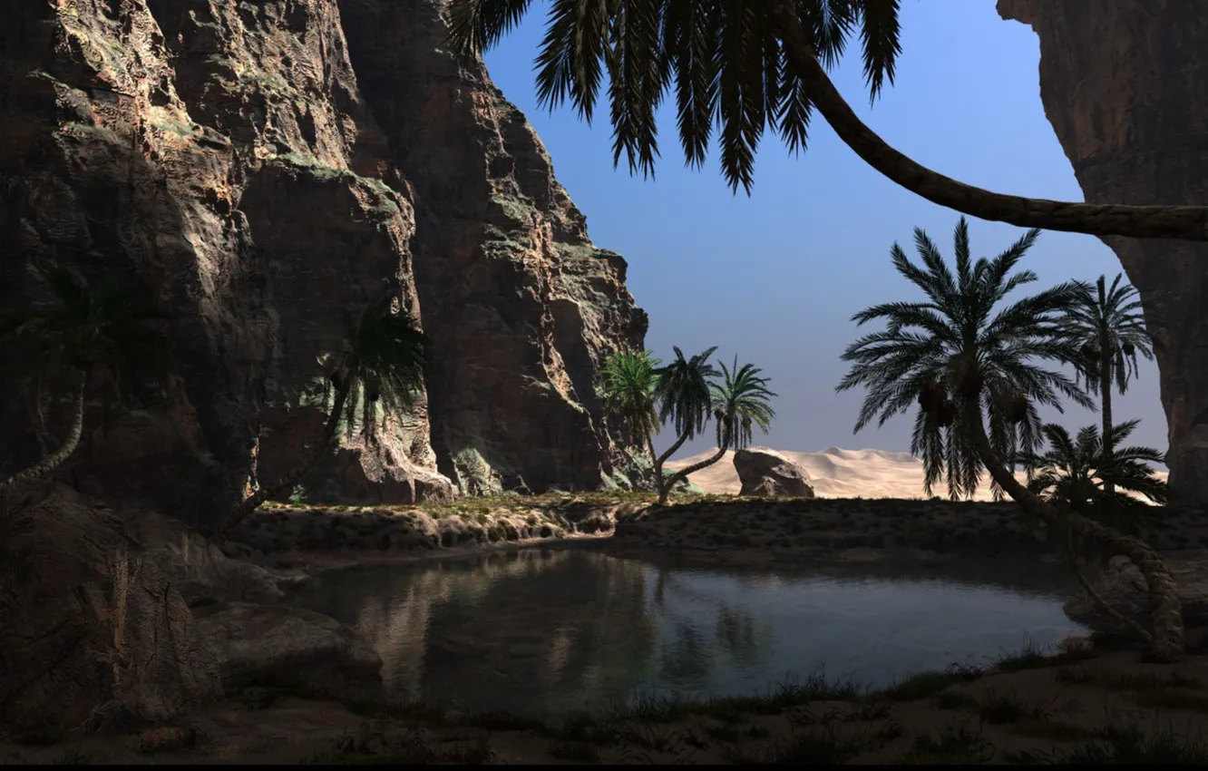 Photo wallpaper the sky, water, stones, palm trees, rocks, the hidden oasis