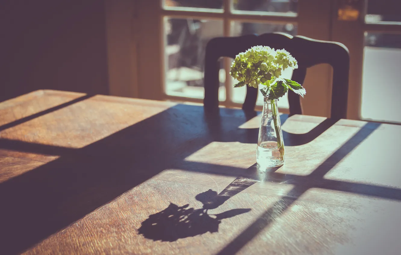 Photo wallpaper flowers, table, shadow, window, vase