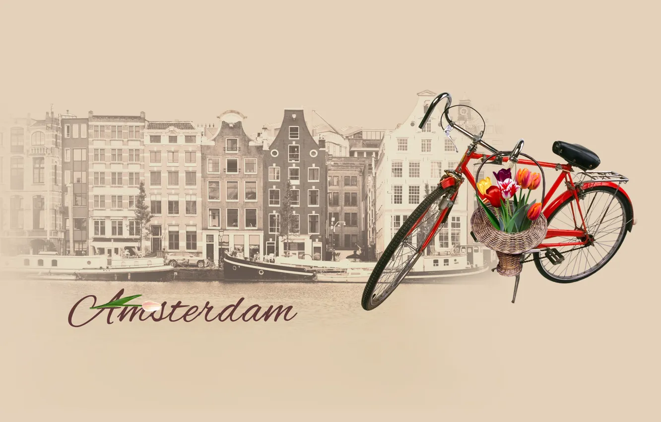 Photo wallpaper bike, Amsterdam, tulips, bike, Amsterdam, tulips, by Pyrus-acerba, collection of cities