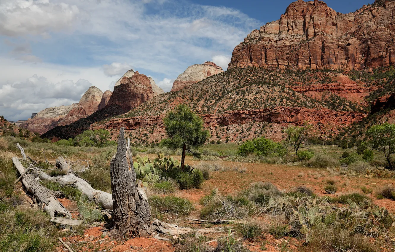 Photo wallpaper desert, Arizona, mountains, rocks, sand