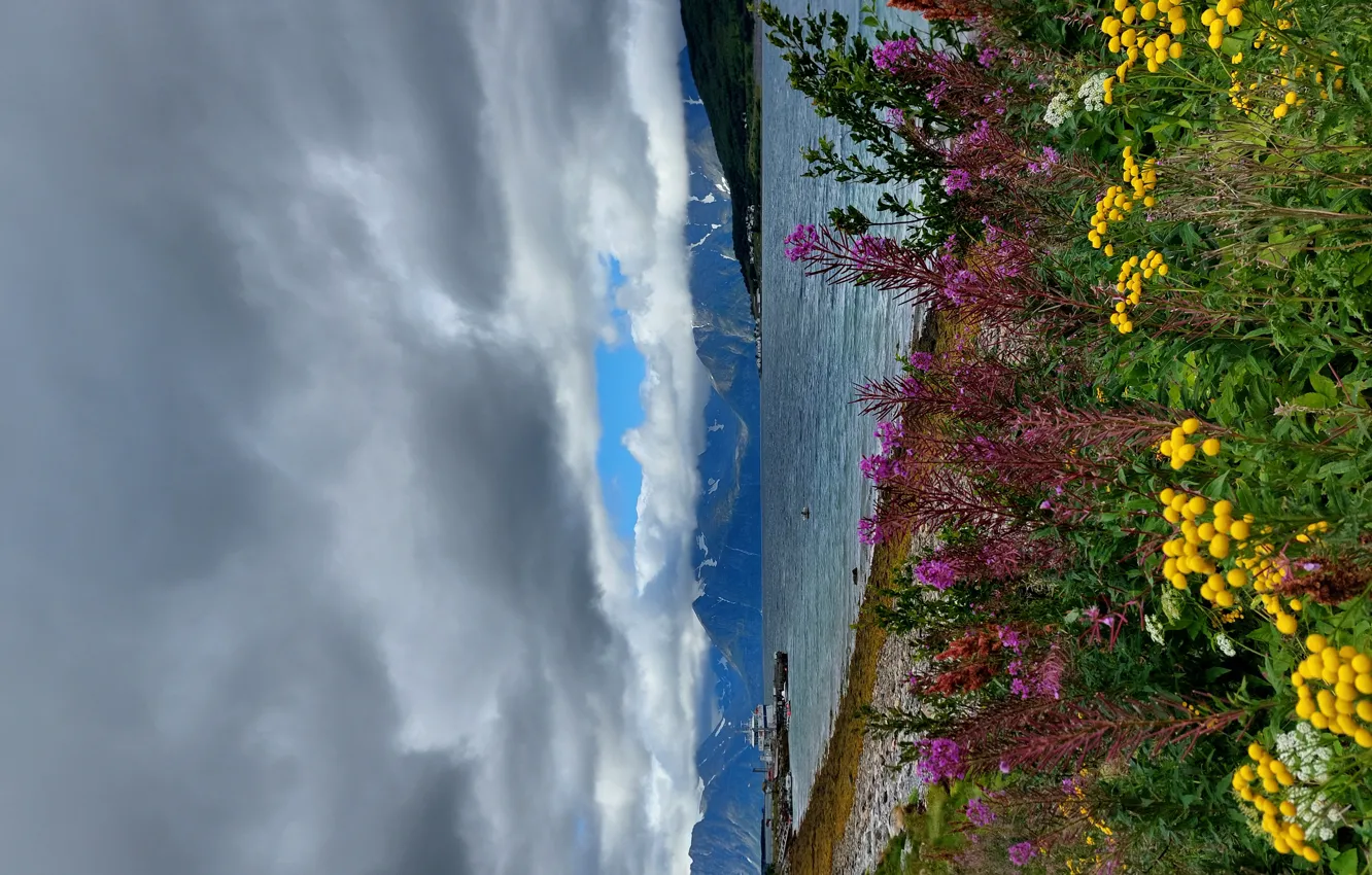 Photo wallpaper flowers, mountains, Norway, ferry, obloka, the fjord