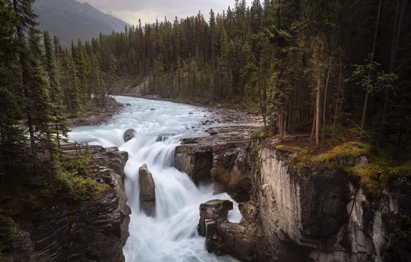 Photo wallpaper forest, stones, rocks, shore, waterfall, stream, ate