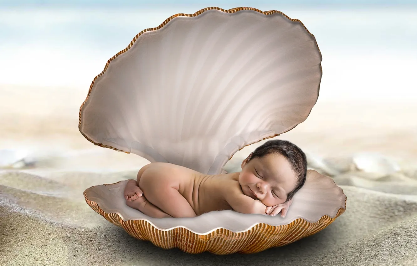 Photo wallpaper collage, shell, baby