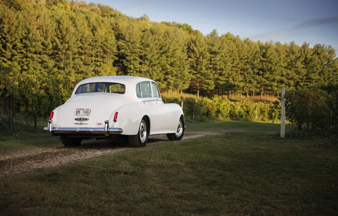 Photo wallpaper Rolls-Royce Silver Cloud II, Rolls-Royce Silver Cloud II Paramount, Rolls-Royce, 1961, Ringbrothers, rear view, Silver …