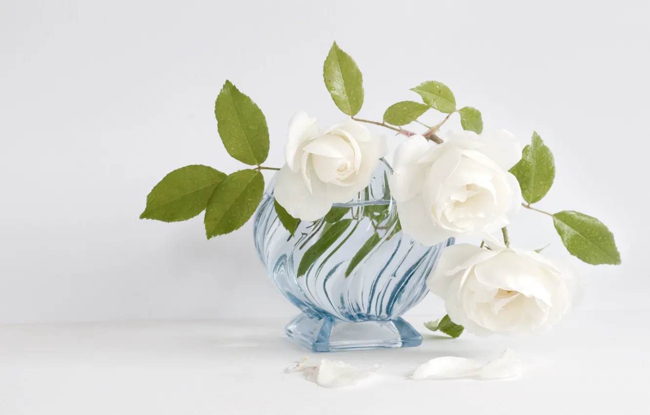 Photo wallpaper white, roses, vase