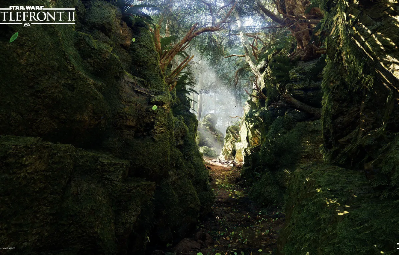 Photo wallpaper nature, vegetation, gorge, Star Wars Battlefront 2, Mazs Castle Forest