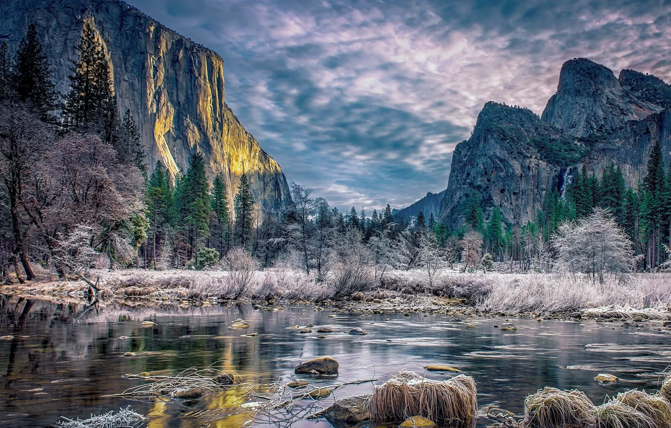 Photo wallpaper mountains, treatment, Yosemite Valley