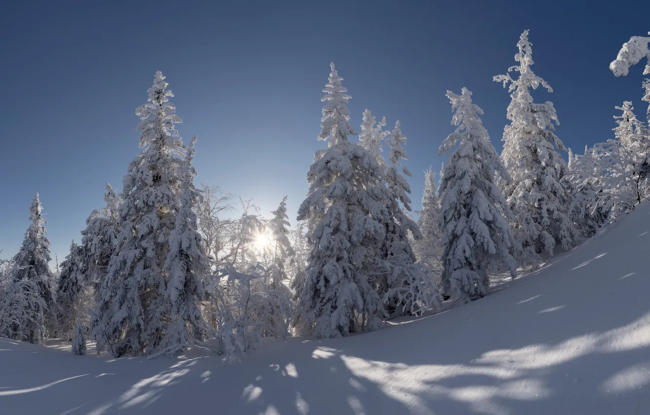 Photo wallpaper winter, the sun, light, snow, nature, blue, shadow, ate