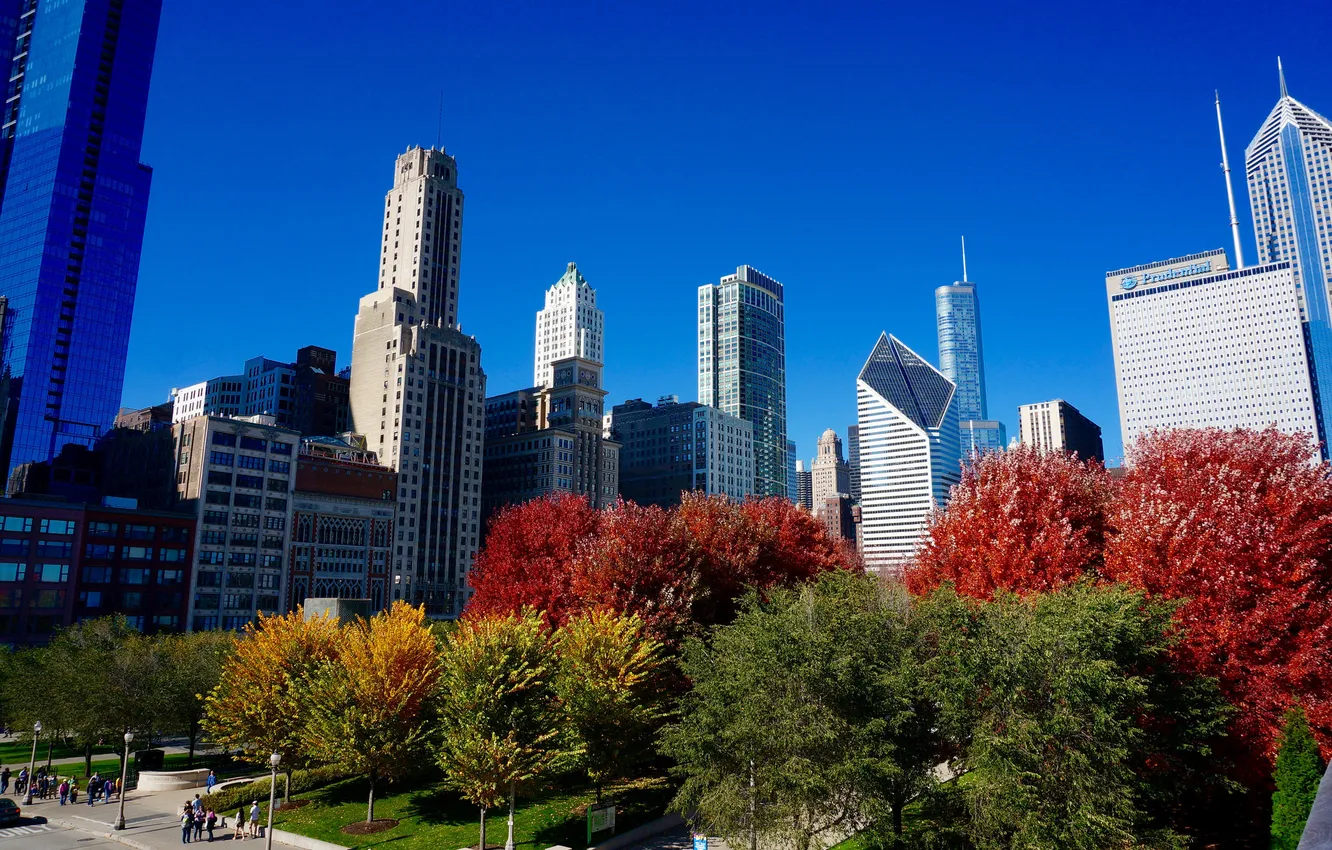 Photo wallpaper autumn, the sky, trees, home, skyscrapers, Chicago, USA