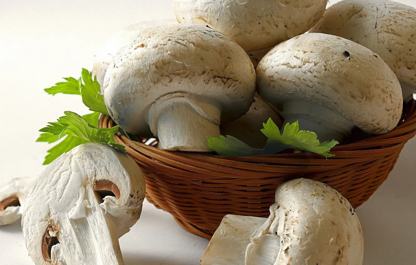 Photo wallpaper basket, mushrooms, seignory