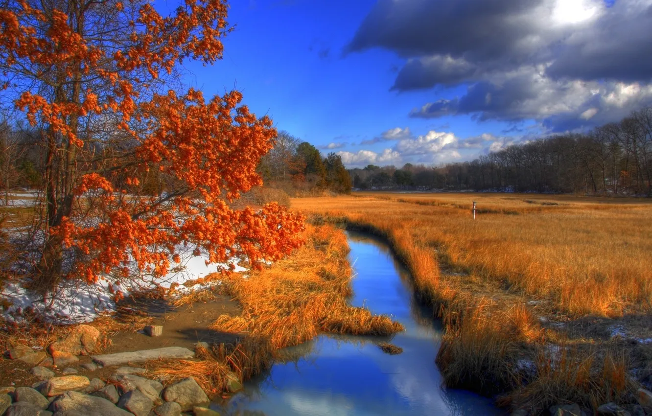 Photo wallpaper autumn, river, hammonasset state park