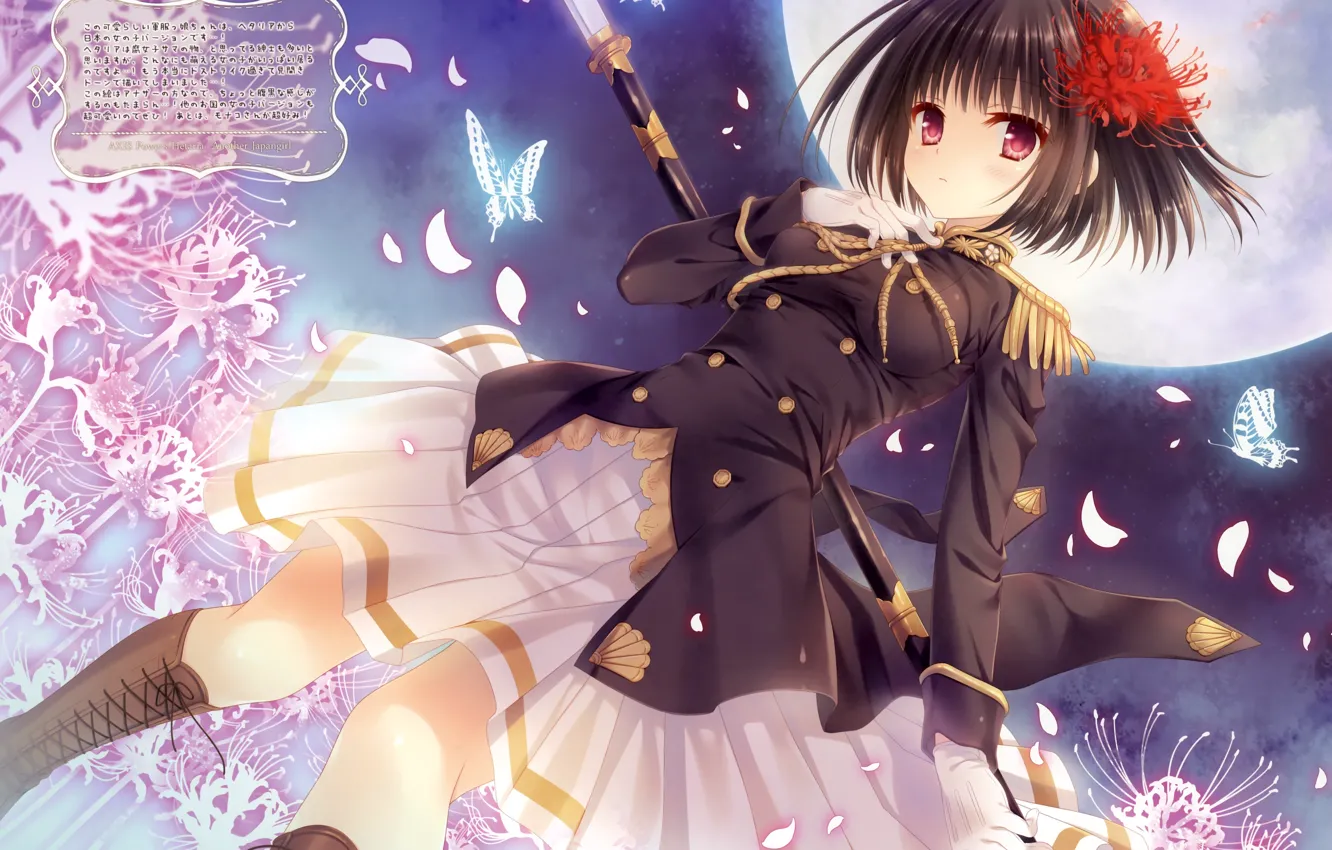 Photo wallpaper flowers, the moon, butterfly, Taiwan, peak, art, shoulder straps, axis powers hetalia and axis countries