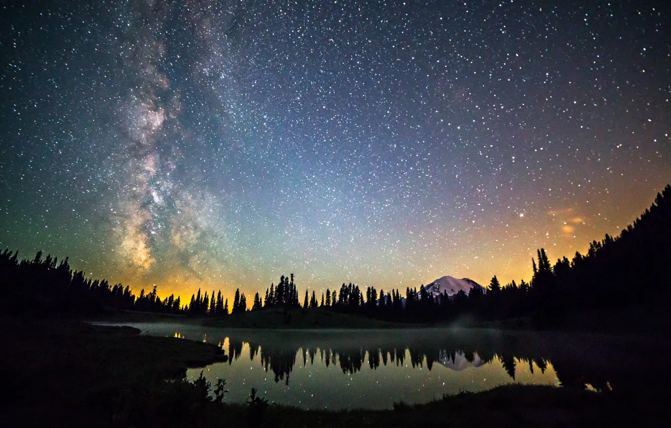 Photo wallpaper forest, space, stars, mountains, night, space, the milky way
