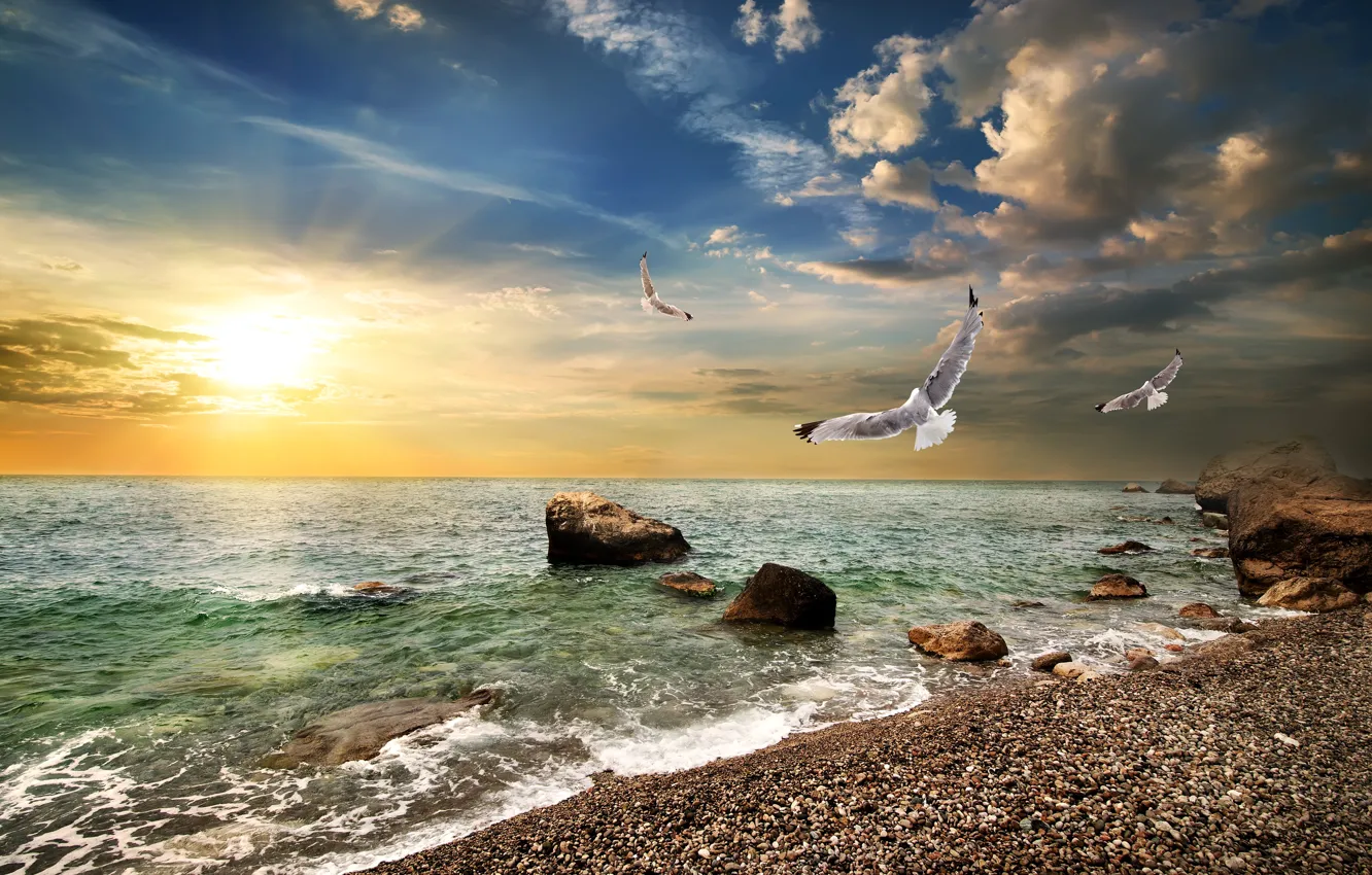 Photo wallpaper sea, the sky, the sun, clouds, stones, dawn, coast, seagulls