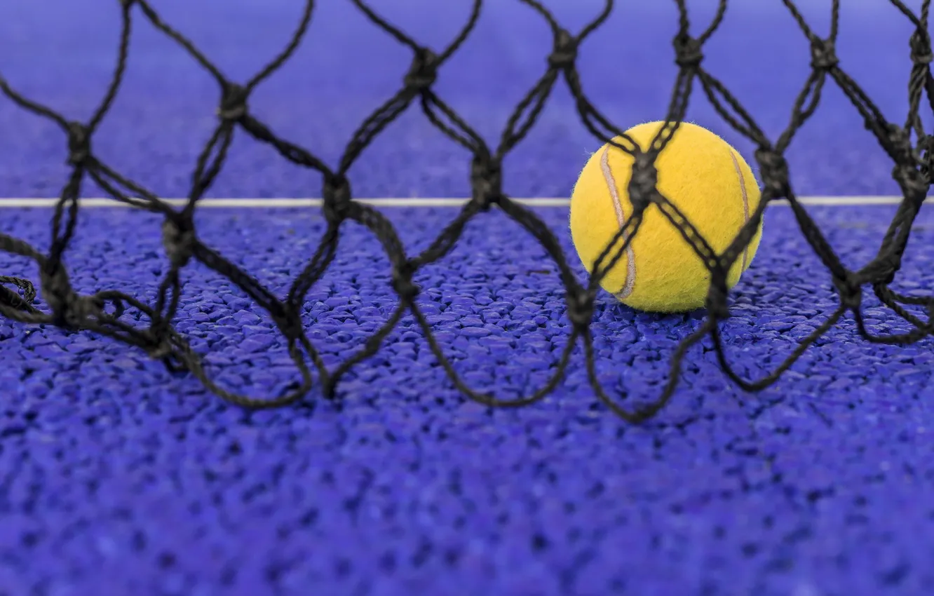 Photo wallpaper mesh, sport, the ball