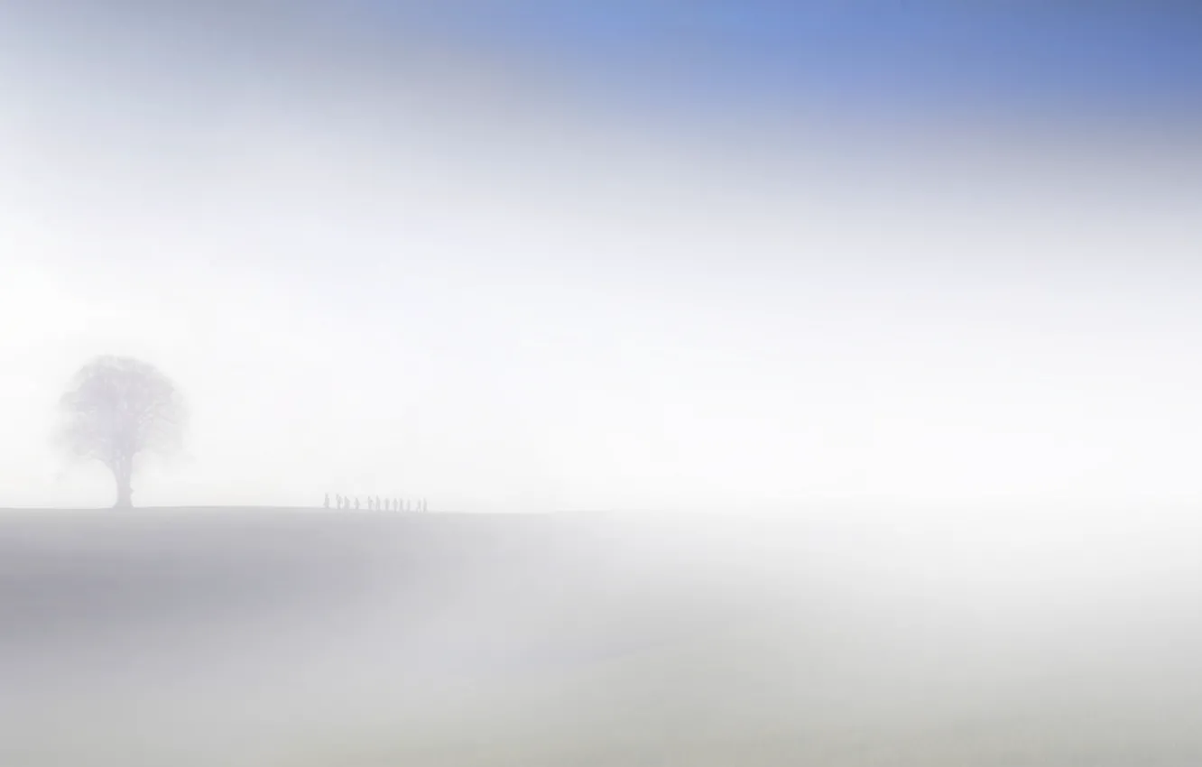 Photo wallpaper field, fog, silhouettes